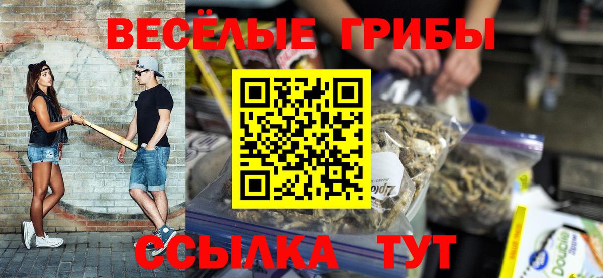 Галлюциногенные грибы Psilocybine cubensis Архангельск
