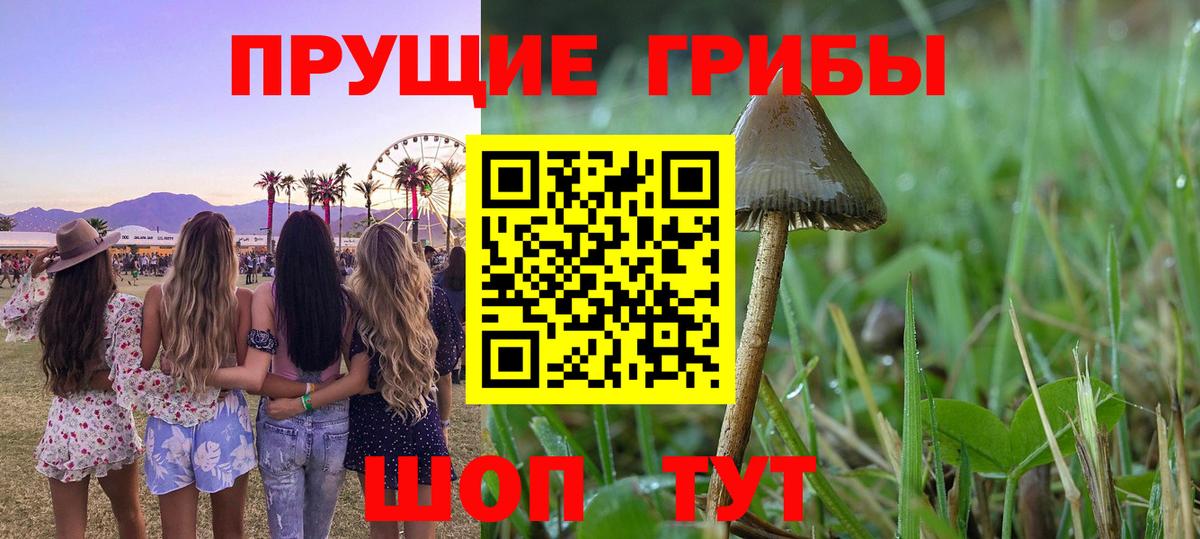 Псилоцибиновые грибы Psilocybe  Галлюциногенные грибы Magic Shrooms  где продают   Архангельск  Вход с VPN 